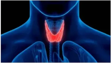 [Sigh Energy] Исцеление и регенерация щитовидной железы | Thyroid Healing and Regeneration