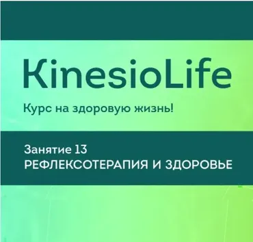 [KinesioLife] Семинар 13. Рефлексотерапия и здоровье (Тимур Гололобов)