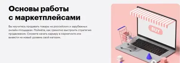 [Skillbox] Основы работы с маркетплейсами (Алина Гончаренко, Александр Чайка)