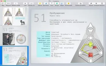 [Дизайн Человека] Курс «PTL I». Месяц 9 (Виктор Крючков)