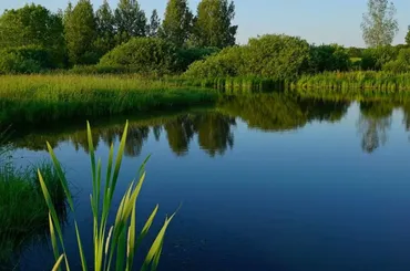 Как создать экологичный пруд на своем участке (Степан Купченко)