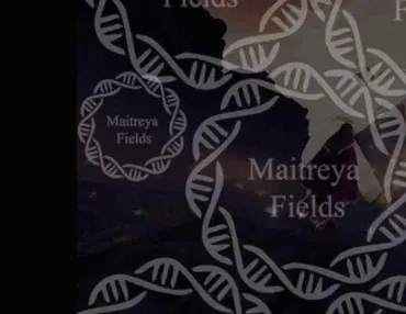 [Maitreya Fields]    DM: SBR Часть 2: Коллективное сознание