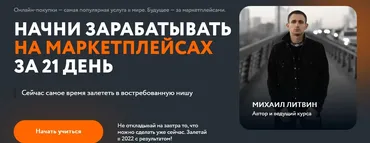Начни зарабатывать на маркетплейсах за 21 день (Михаил Литвин, Татьяна Бакальчук)