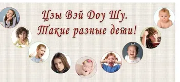Цзы Вэй Доу Шу. Родители глазами детей (Наталья Титова)