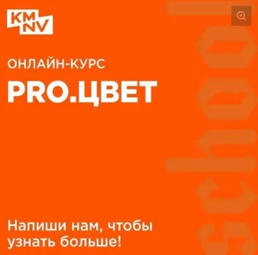[kamnevschool] PRO.ЦВЕТ (Антон Камнев)