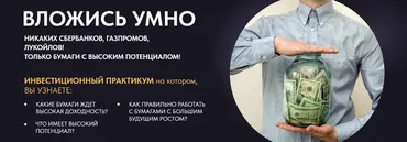 Практикум по инвестициям. Вложись умно (Александр Пурнов)