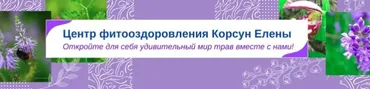 [Fitomama] Фитотерапия в онкологии Часть 1 (Елена Корсун)