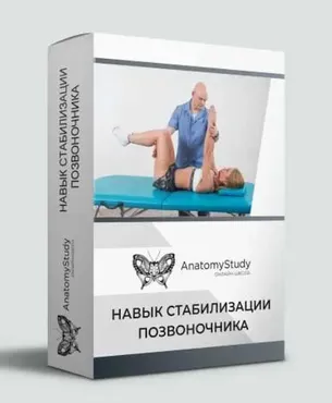 [Анатомия] Навык стабилизации позвоночника (Денис Мизинов, Александр Семенов)