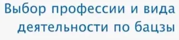 Выбор профессии и вида деятельности по бацзы (Анна Подчернина)