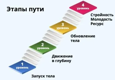 Твой путь к стройности и молодости. 6 месяц (Светлана Рахманова)