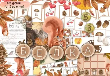 [busy-bee] Белка. Все уровни