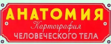Анатомия. Картография человеческого тела (Жак Гишар)