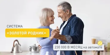 Система Золотой родник (Дмитрий Алексеев)