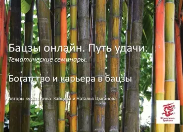 Бизнес и карьера в бацзы (Анна Зайцева, Наталья Цыганова)