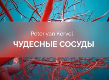 [Краниосакральная академия] Чудесные сосуды (Питер Ван Кервель)