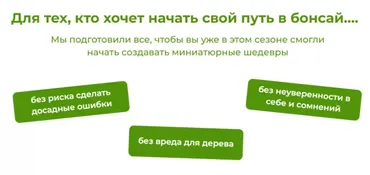 Бонсай своими руками. Пакет Будущий мастер (Андрей Дарусенков)