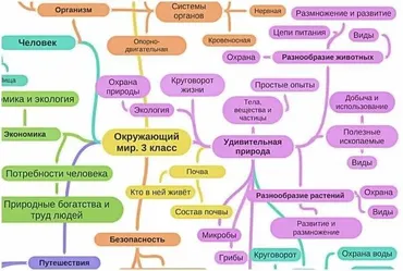 Набор майнд-карт за 3 класс (Олеся Полубоярова)