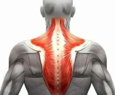 [Sigh Energy] Neck Workout Powerful Plus +11x (Extra Strong) Тренировка шеи без упражнений