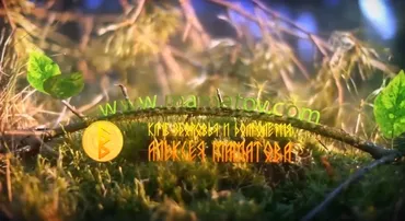 Ультраинтенсив PRO ЖКТ, 2017 (Алексей Маматов)