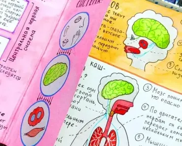 [hurlyburlyschool] 21 блок годового курса Окружающий мир (Ольга Сафронова)