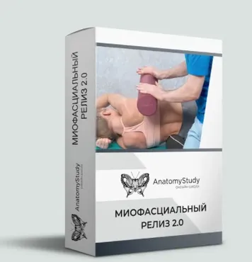 [AnatomyStudy] Миофасциальный релиз 2.0 (Андрей Богатырев)