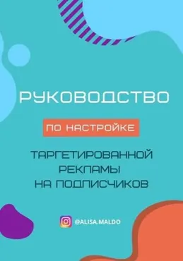 Руководство «По настройке таргетированной рекламы на подписчиков» 2020 (alisa.maldo)