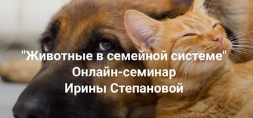 [Институт Открытого поля] Животные в семейной системе (Ирина Степанова)