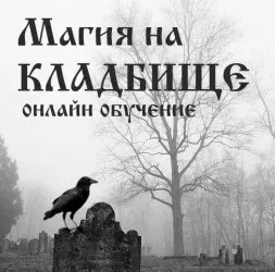 Практика работы на кладбище (Алена Полынь)