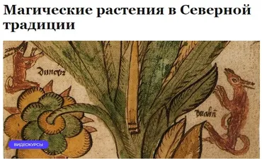 [Нордхейм] Магические растения в Северной традиции (Ольга Ясинская)