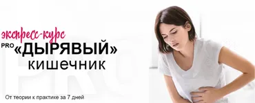 Pro дырявый кишечник. Декабрь 2019 (Диляра Лебедева)