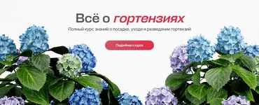 [Умный садовник] Всё о гортензиях. Тариф Самостоятельный (Дмитрий Звонка, Ольга Никитина)