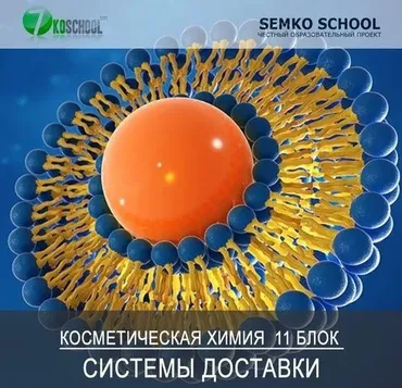 [7koschool] Курс-практикум «Косметическая химия». Блок 11 «Трансэпидермальные системы доставки» (Анастасия Семко)