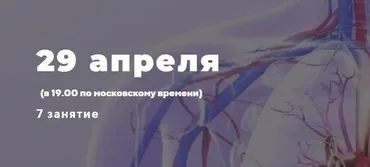Сосудистая система. Снятие стресса с сосудов организма (Светлана Костарева)