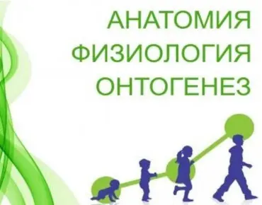 Физиология. Онтогенез (Анастасия Семко)