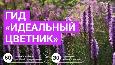 Идеальный цветник (Марина Берестова)