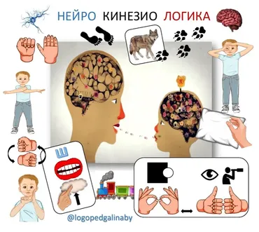Нейро Кинезио Логика (logopedgalinaby)