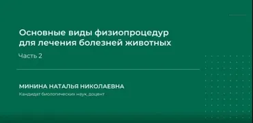 Основные виды физиопроцедур для лечения болезней животных. Часть 2 (Наталья Минина)