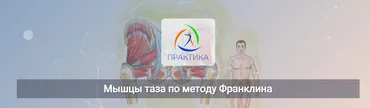 [Центр Практика] Мышцы таза по методу Франклина (Людмила Бабанская)