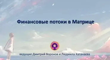 Финансовые потоки в матрице (Дмитрий Воронов)
