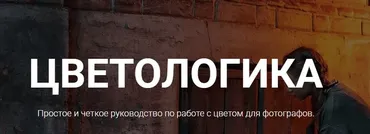 Цветологика. Тариф Цветологика целиком (Софья Лебедева)