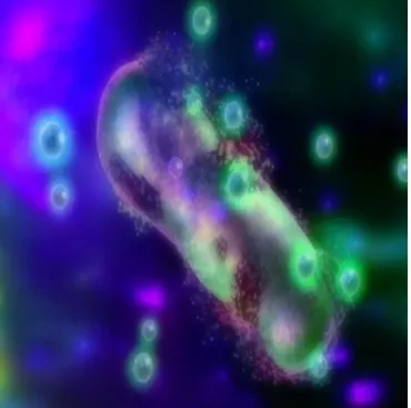 [Sapien Medicine] Апокалипсис бактерий и грибов | The Bacteria and Fungi Apocalypse