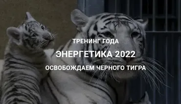 [Дао-Сфера] Энергетика 2022 освобождаем черного тигра. Тариф Платина (Дмитрий Лаптев)