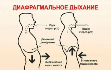 Диафрагмальное дыхание, 3 поток (Екатерина Фёдорова)