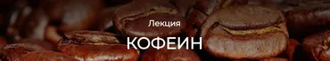 [humberto 2.0] Кофеин (Валерий Подрубаев)