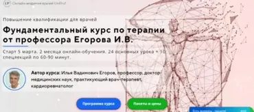 Фундаментальный курс по терапии. Стандарт (Илья Егоров)