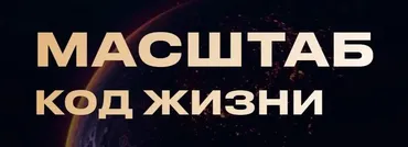 Масштаб. Код жизни. Тариф Профессионал (Евгений Геранькин)