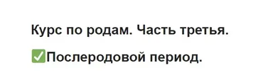 Курс по родам. Часть третья. Послеродовой период (Ольга Белоконь)