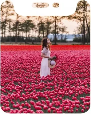 Мобильные пресеты Wine (5 Presets) (Katie One)
