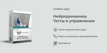 [Анатомия] Нейродинамика. Тесты и упражнения (Андрей Богатырев)