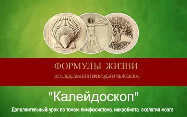 Калейдоскоп. Дополнительный урок (Эдуард Витюк)